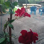 Il Melograno *