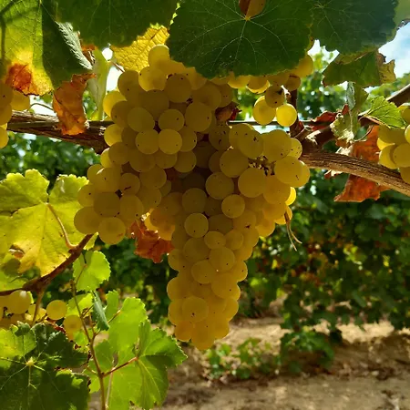 Agriturismo Il Melograno Farm stay *