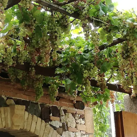 Farmház Il Melograno Riola Sardo