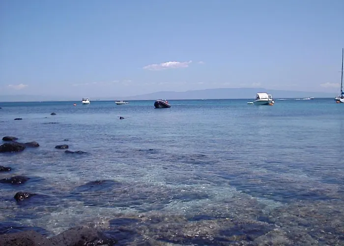 农家乐 石榴2号农家乐