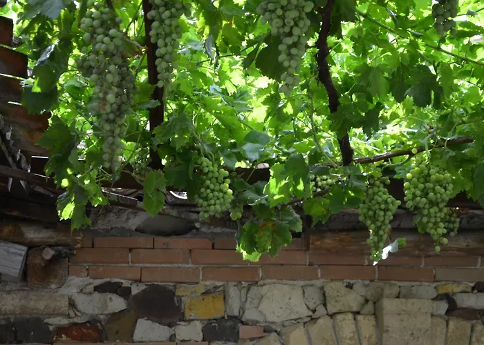 农家乐 石榴2号农家乐